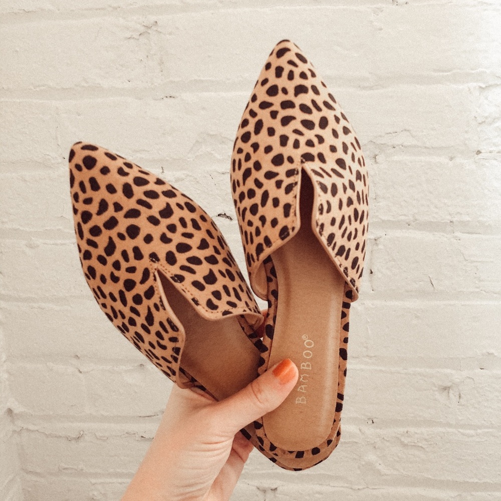Cheetah Slides